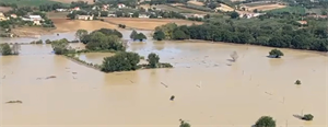 Focus CENSIS, l’agricoltura il settore più colpito da danni ambientali, persi 900 MLN